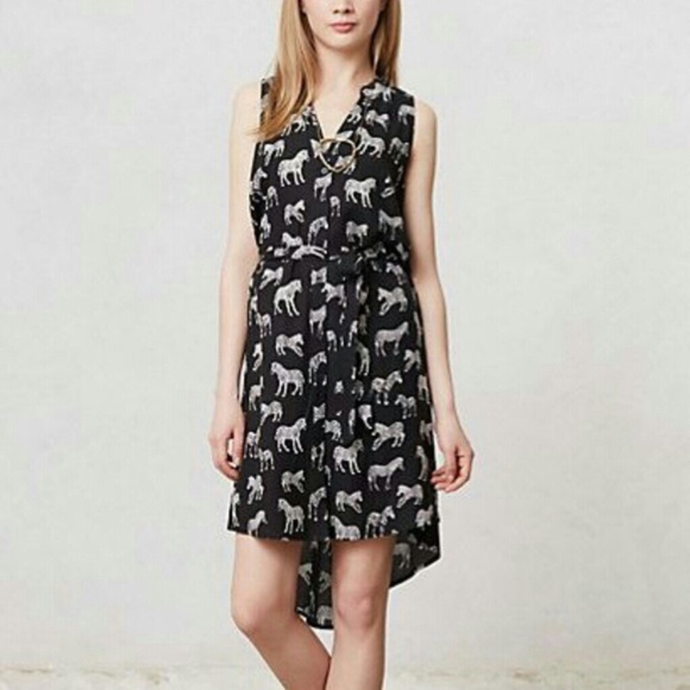Anthropologie Porridge Zeebra Dress